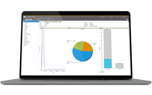 SAP-IQ-sybven-solución.img