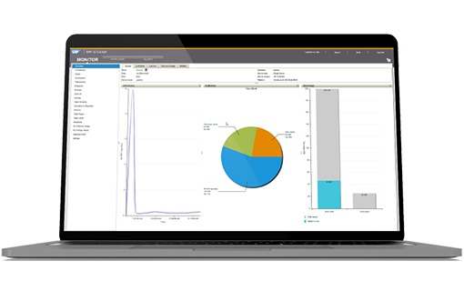 SAP-IQ-sybven-solución.img