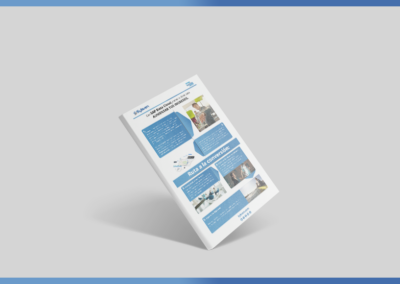 banner LP infografia.